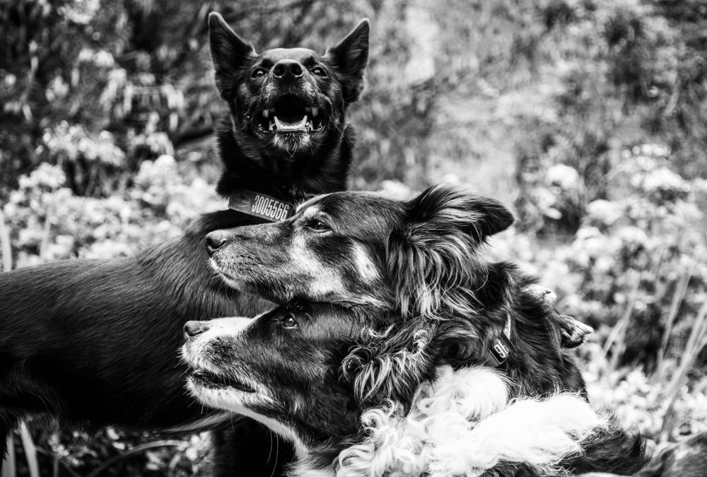 Фотография автора Lina María González Triana