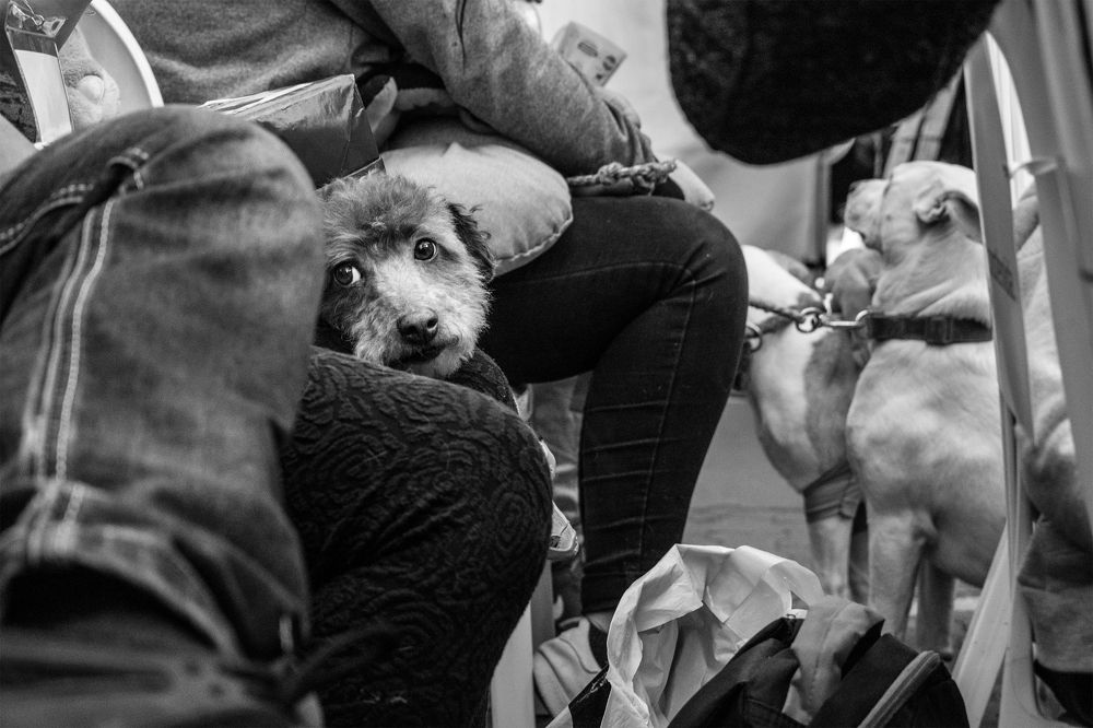 Фотография автора Lina María González Triana