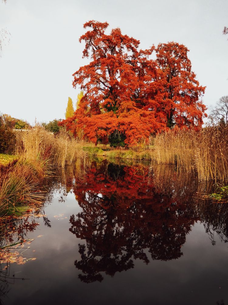 Photograph by Hermann Alexandra