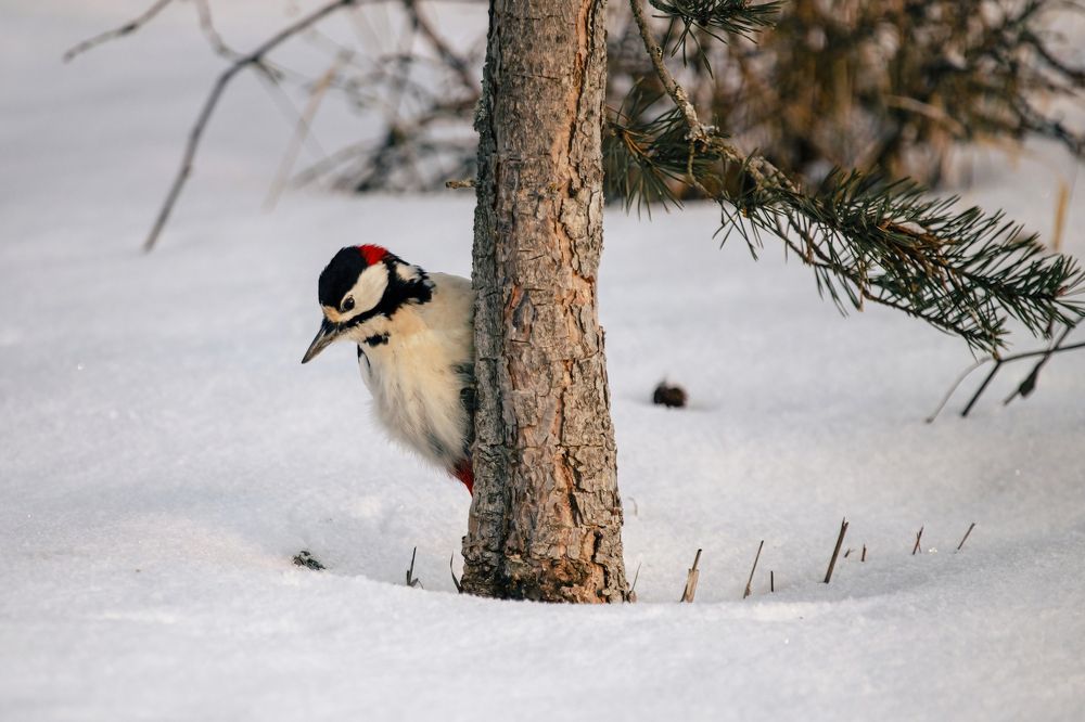 Photograph by Елена