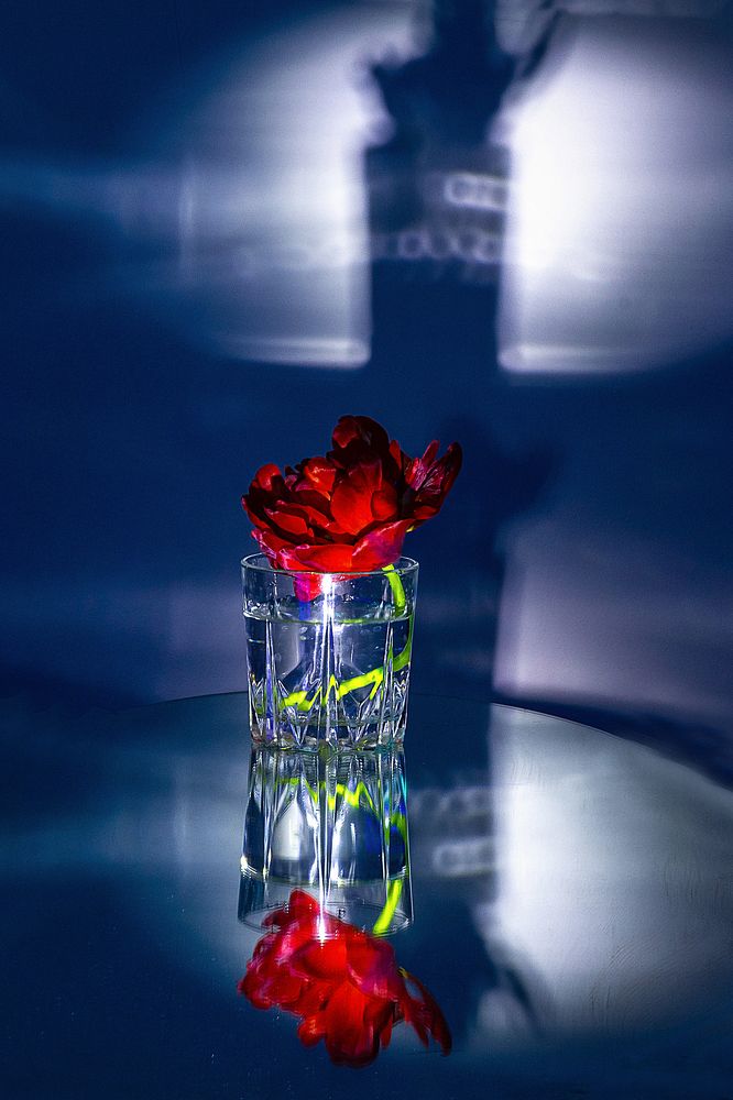 Photograph by Людмила Новосёлова