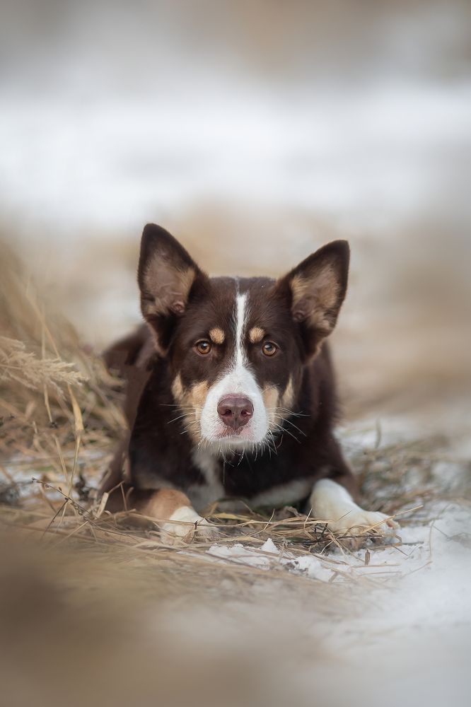 Photograph by Валентина Князева