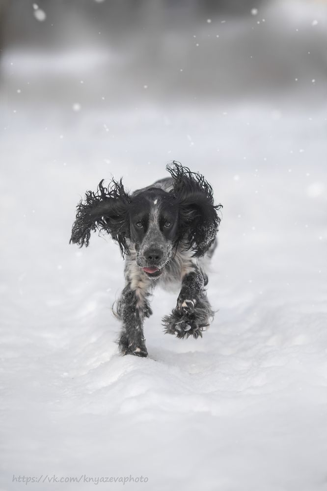 Photograph by Валентина Князева