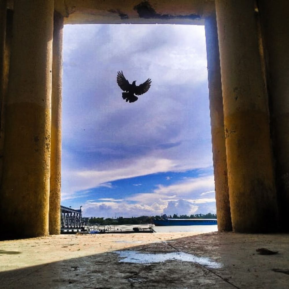 Photograph by Pratyaee Bhowmik