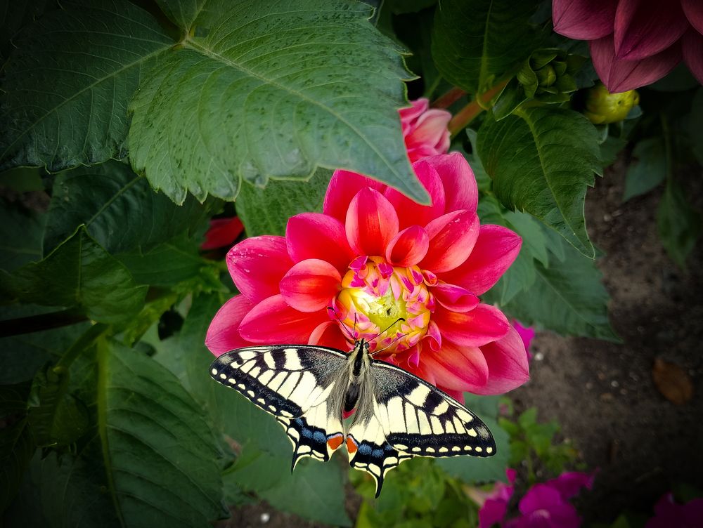 Фотография автора Юлия Кранина