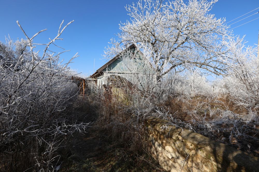 Photograph by Александр Шептикин