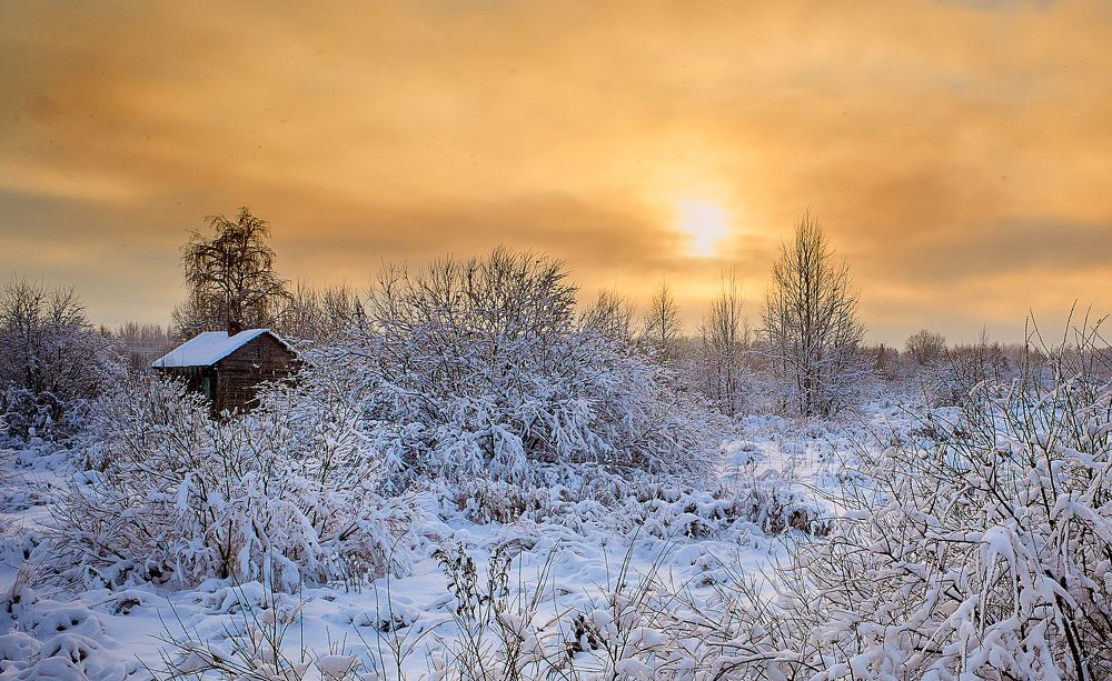 Photograph by Анна Баженовская