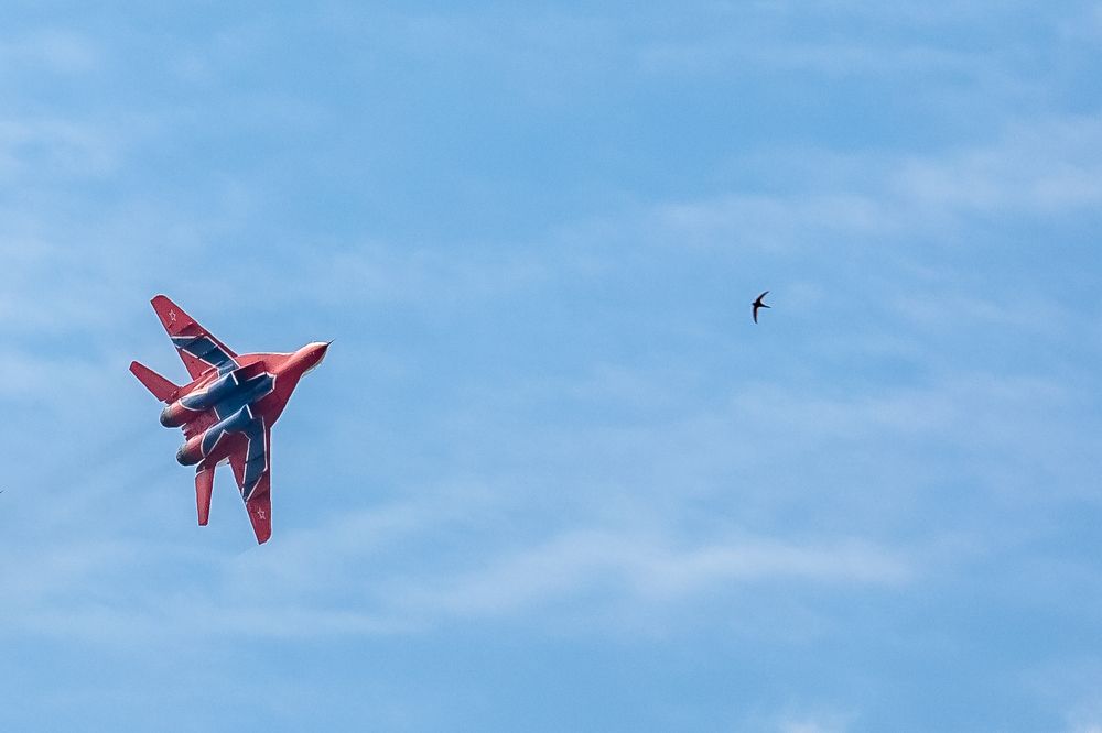 Photograph by Евгения Демина