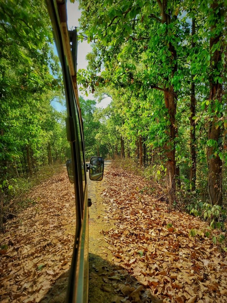 Photograph by Debayan Bag