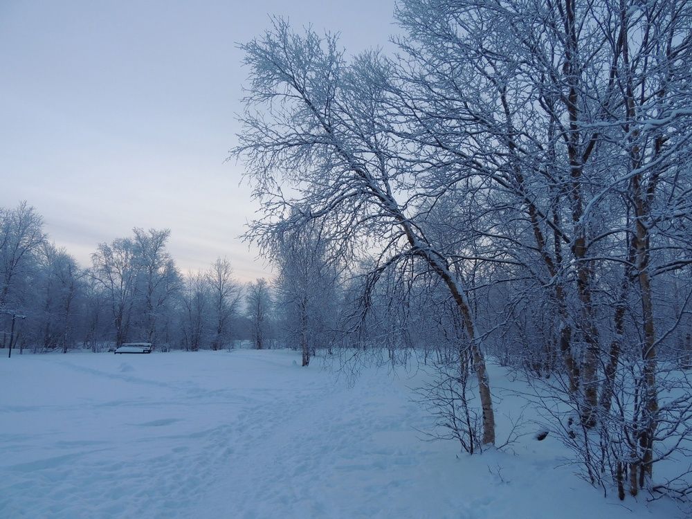 Photograph by Алина Доронина