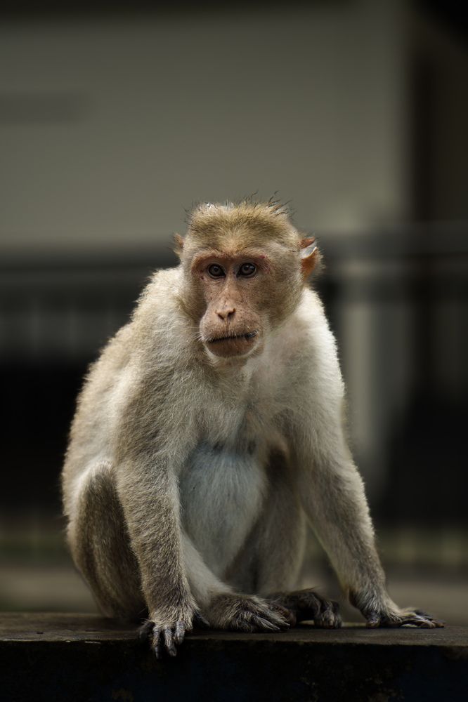 Photograph by Mutasim AL-Bulushi