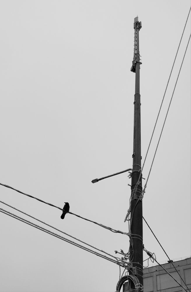 Photograph by Наталья Калюнова