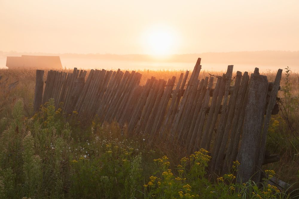 Утро в деревне