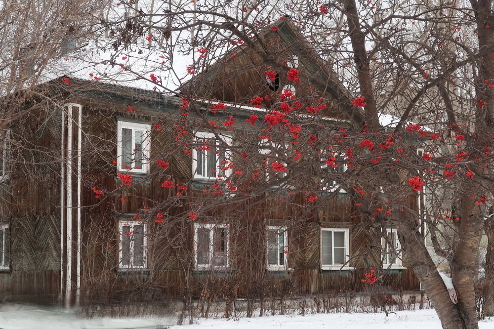 Photograph by Нина