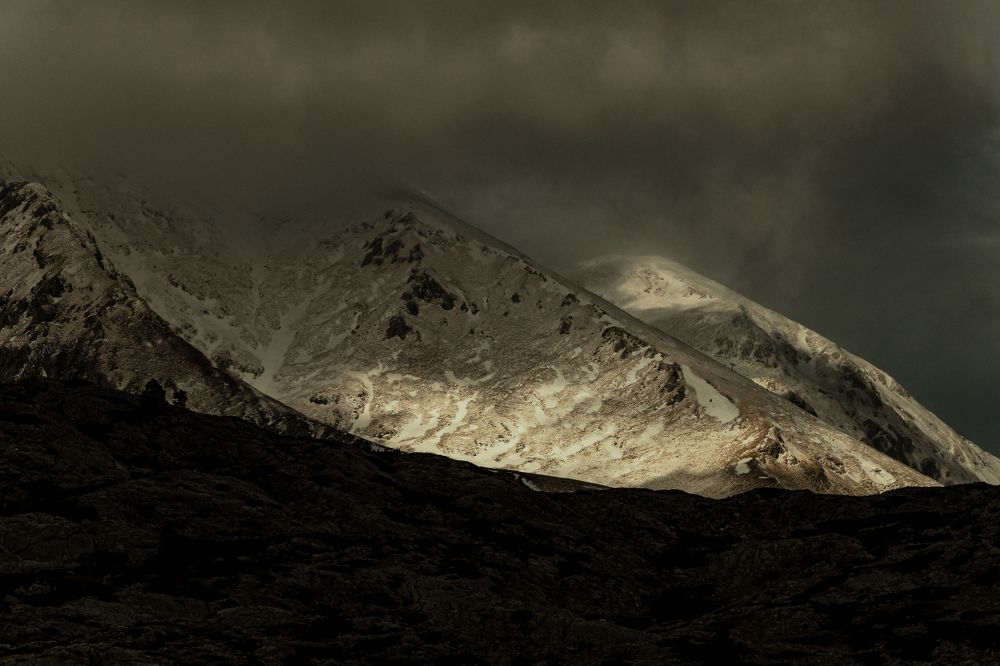 Photograph by Fortitude