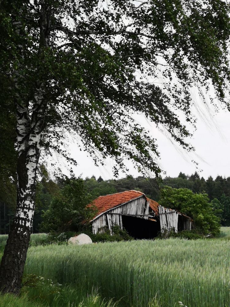 Photograph by Михаил Жарский