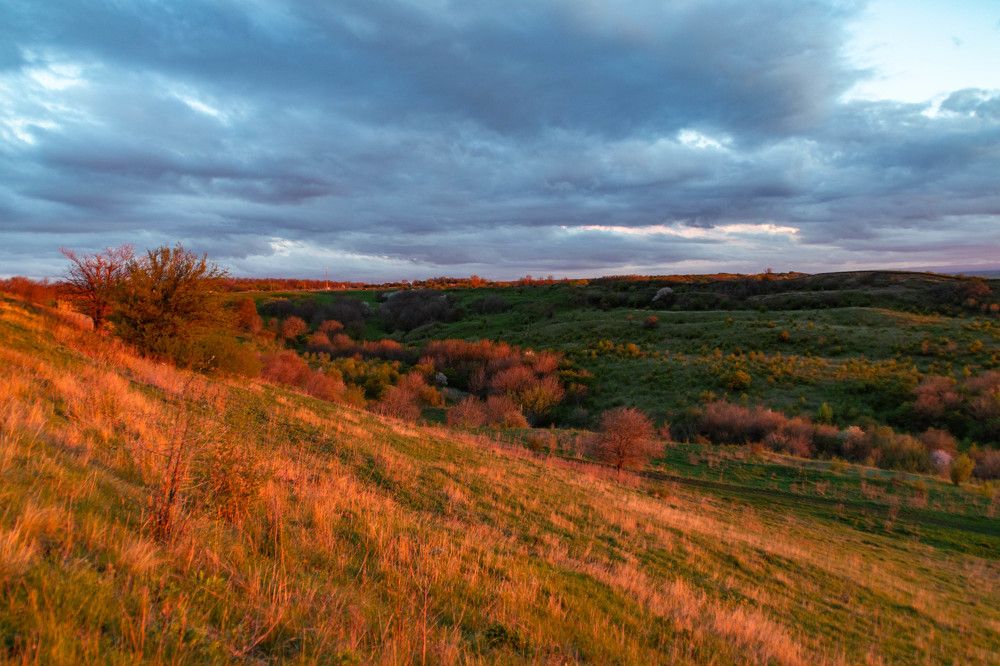 Photograph by Мария Громова