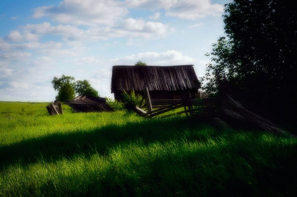 Photograph by Светлана Перминова