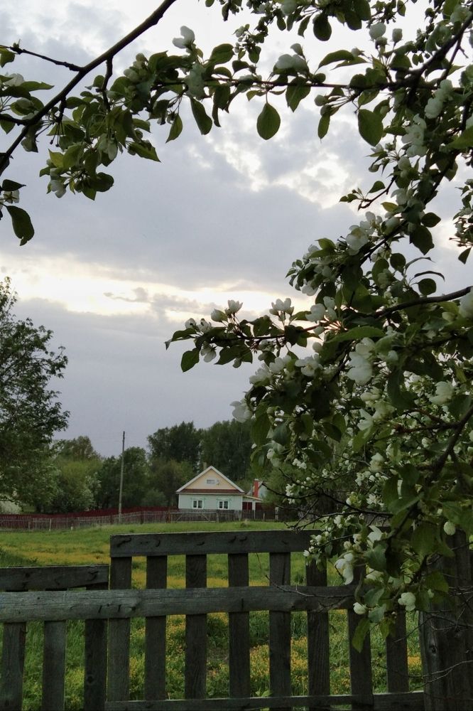 Photo #10220407