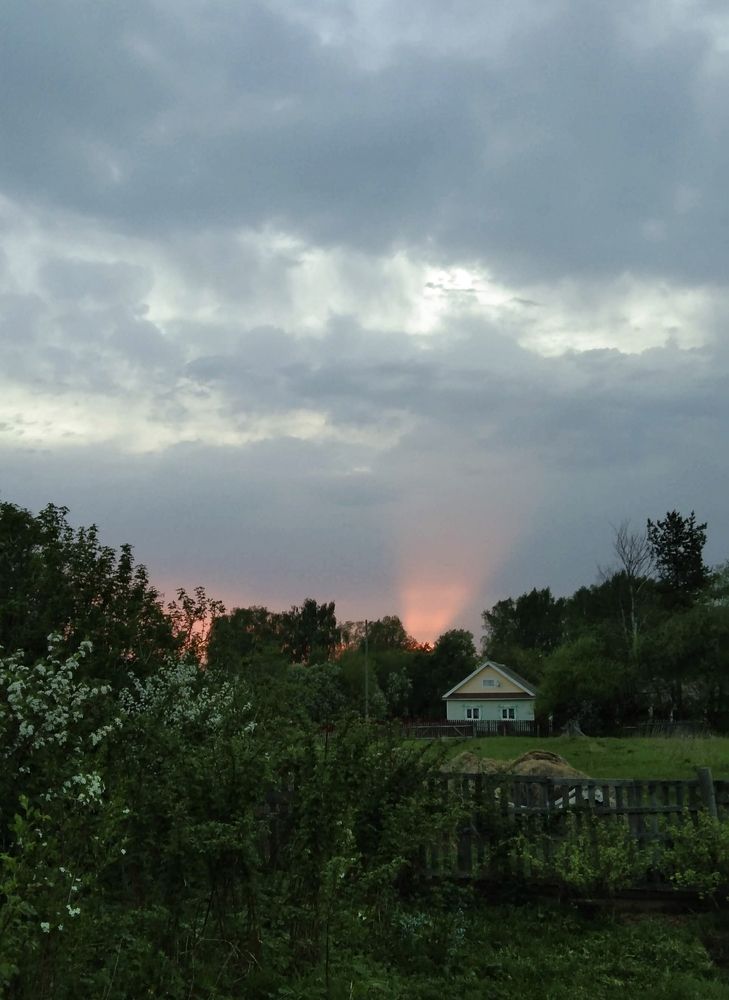 Photo #10220410