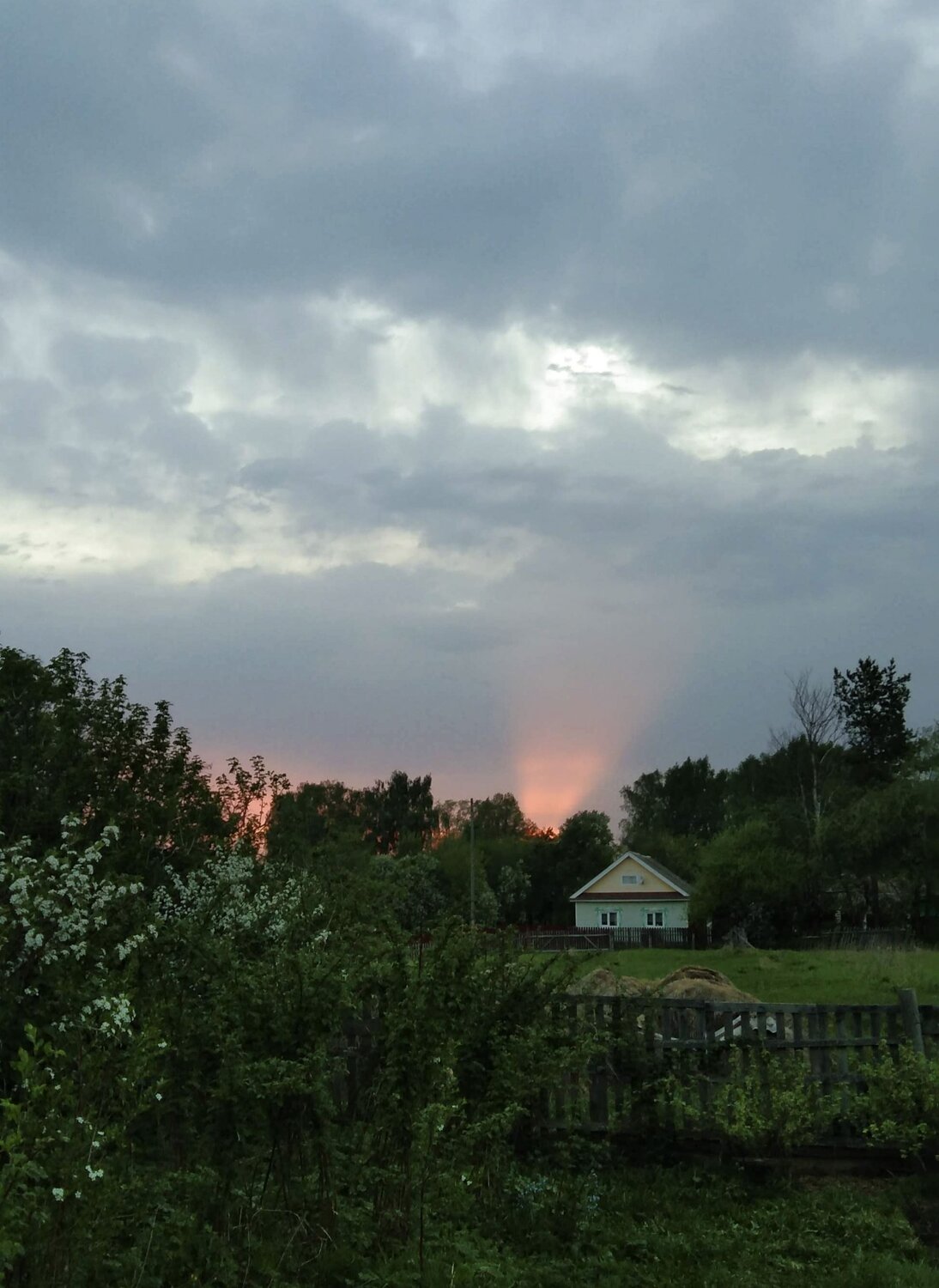 Photo #10220410