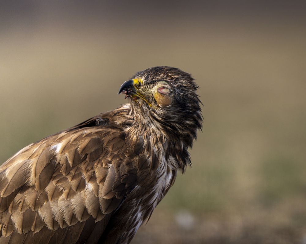 Photograph by Slobodan Botoški