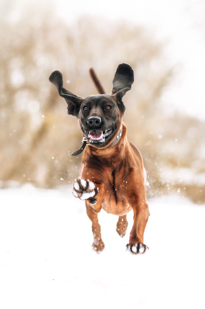 Photograph by Виктория Клименко