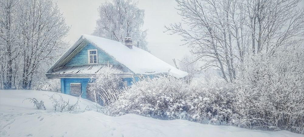 Photograph by Дина Чаица