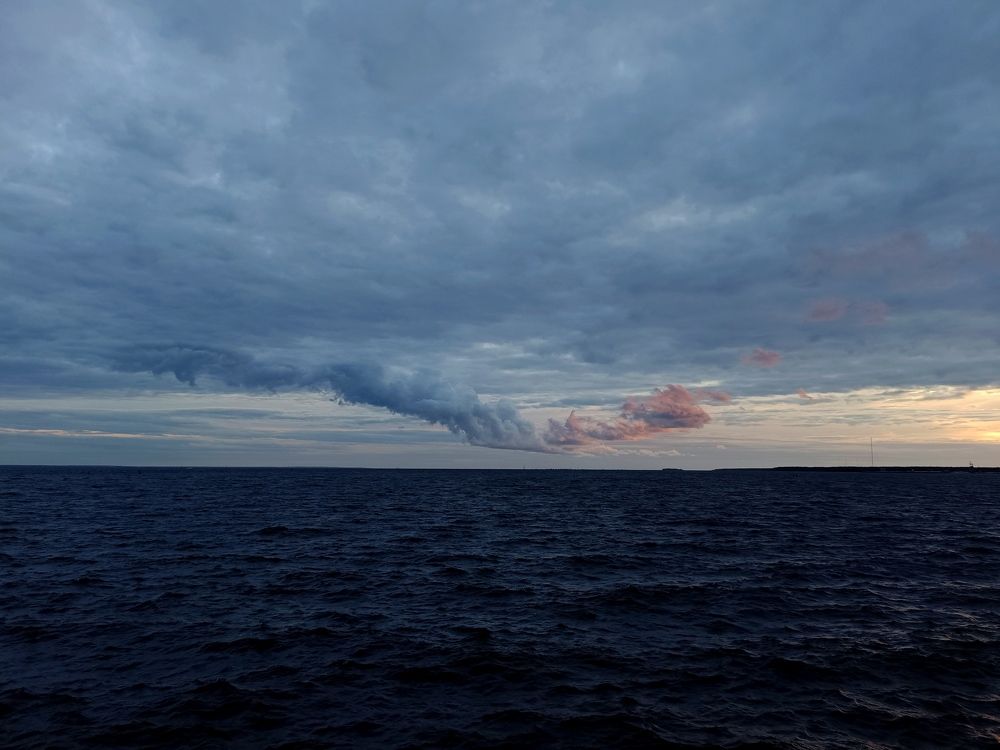 Photo #10220514