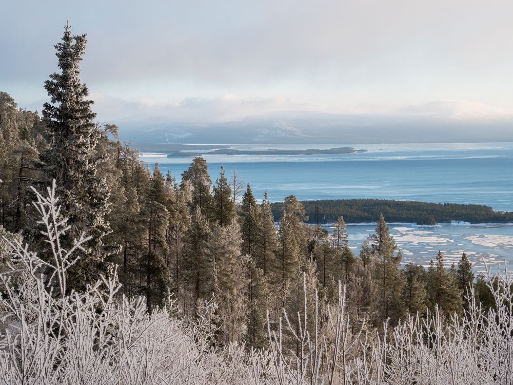 Photograph by Шейко Анна