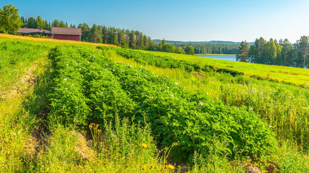 Photograph by Сергей Малеев