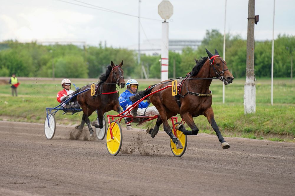 Photograph by Наталья Изотова