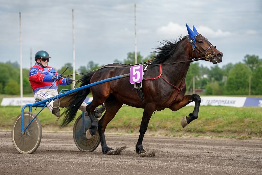 Photograph by Наталья Изотова