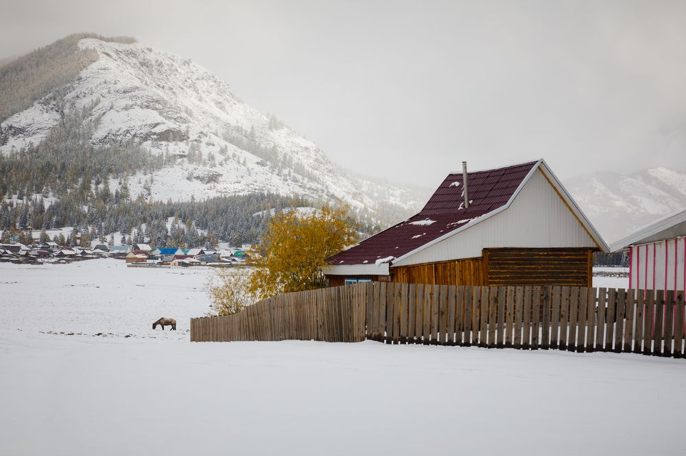 Photograph by Мария Казакова