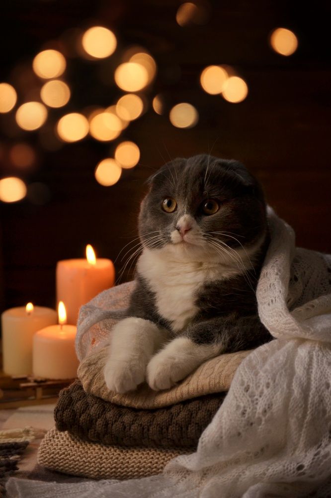 Photograph by Marina Gritchina