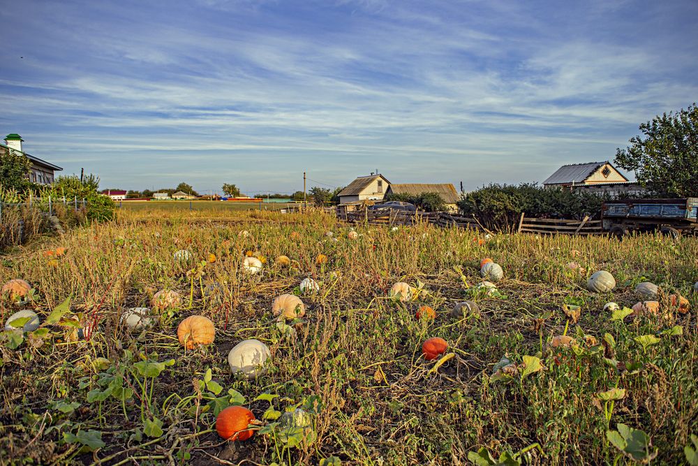 Photograph by Игорь Зиновьев