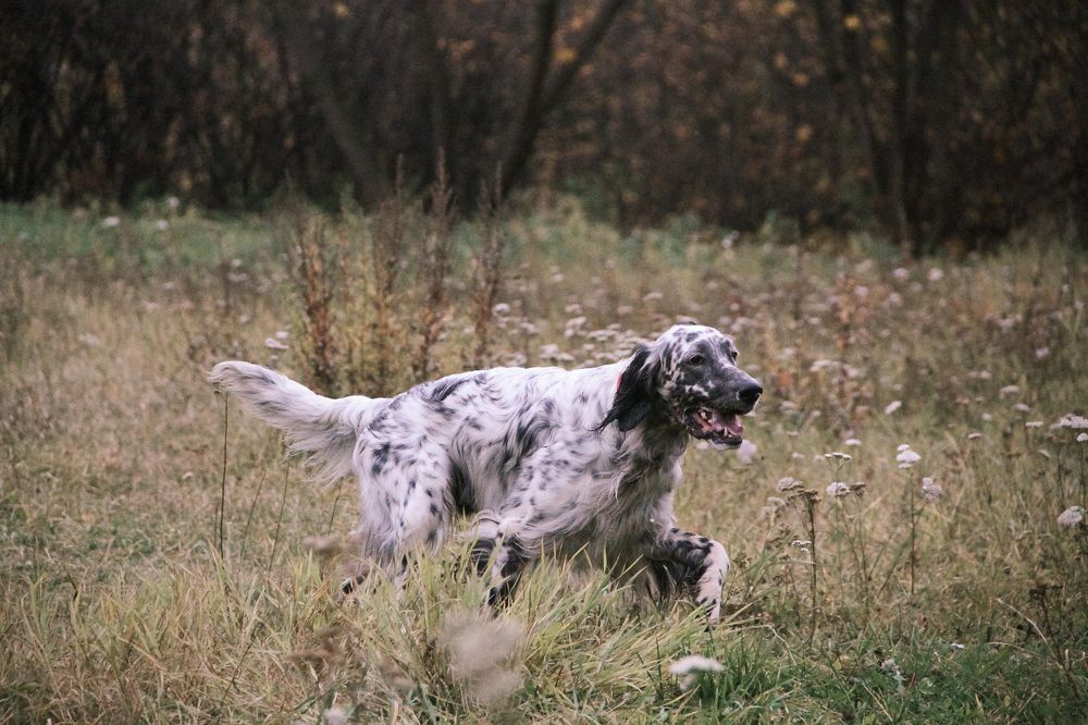 Photograph by Ольга