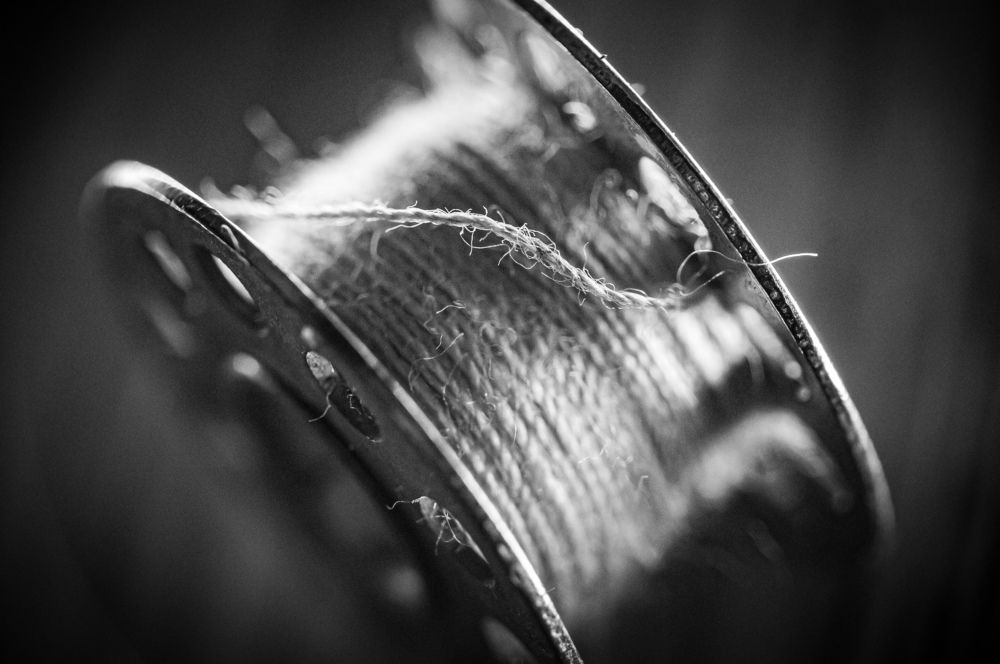 Photograph by Никита