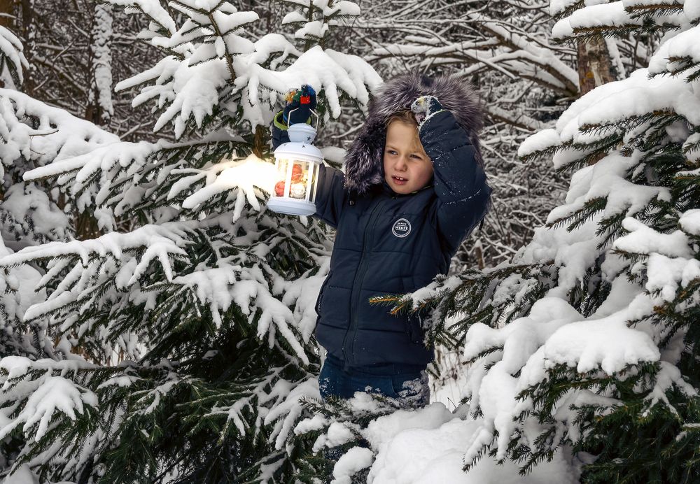 Фотография автора Ольга Лихтарь