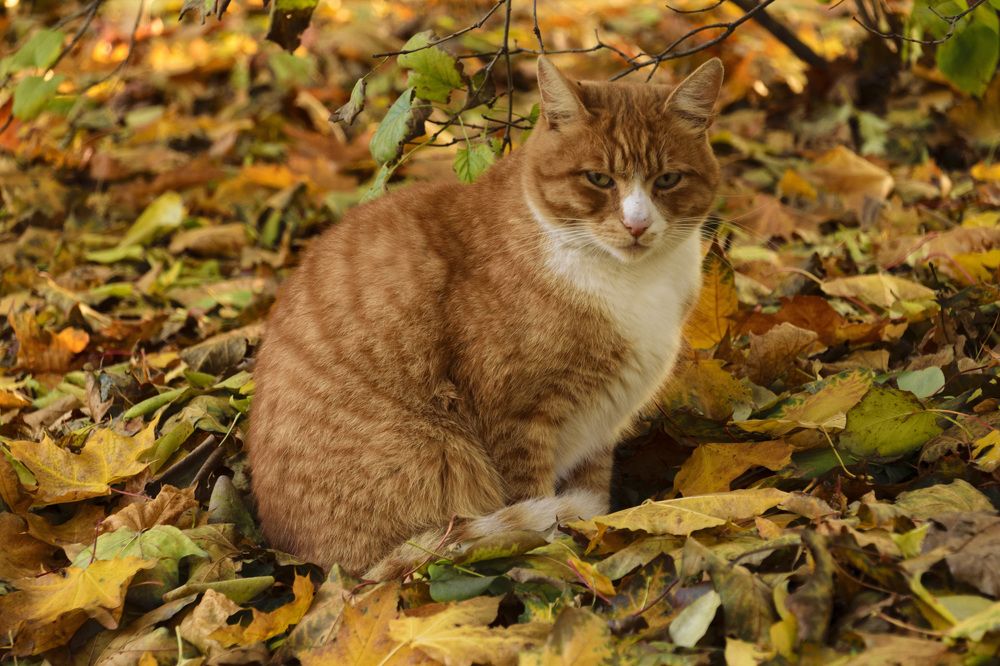 Photograph by Лилия Кондратьева