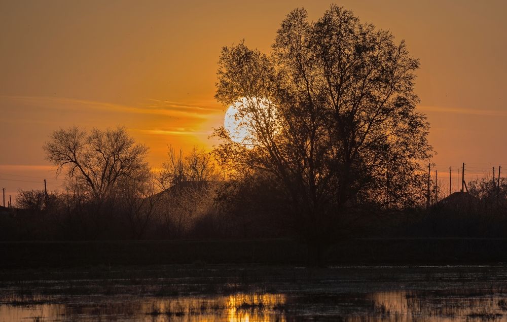 Photograph by Сергей Басов