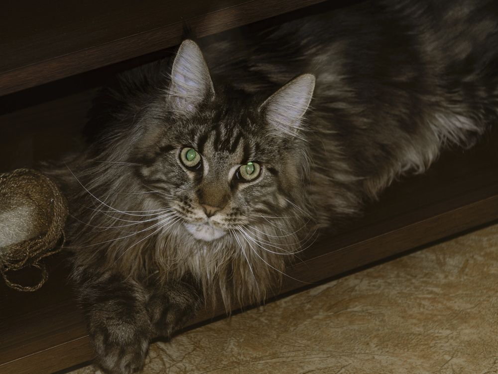 Photograph by Лилия Кондратьева