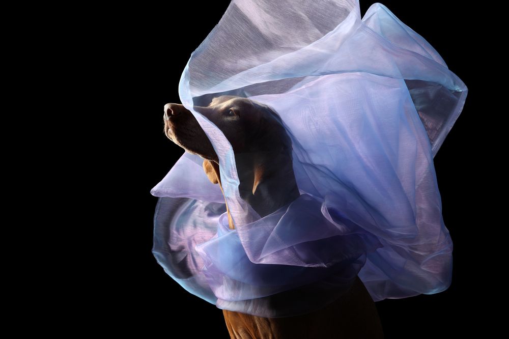 Photograph by Надежда Иванова