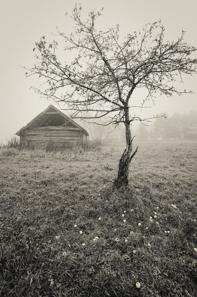 Photograph by Juris Buklovskis