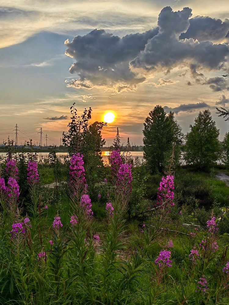 Photograph by Юлия Арестова