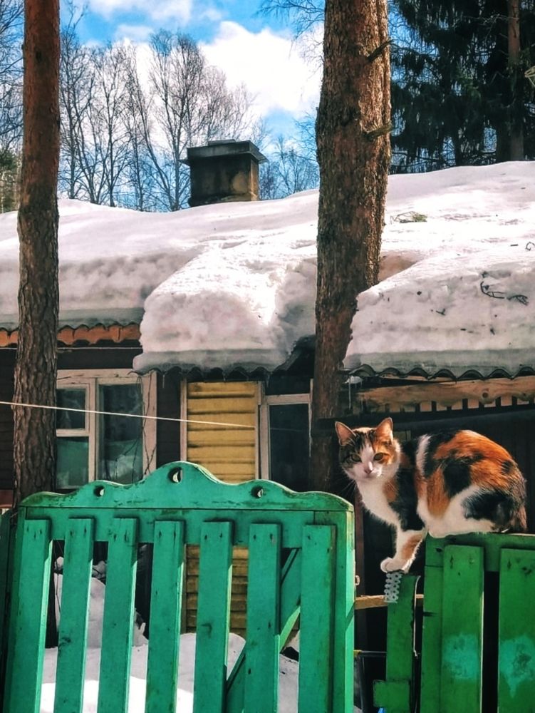 Фотография автора Julie Mishka