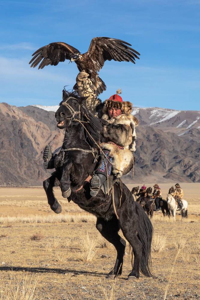 The Berkutchi of Mongolia