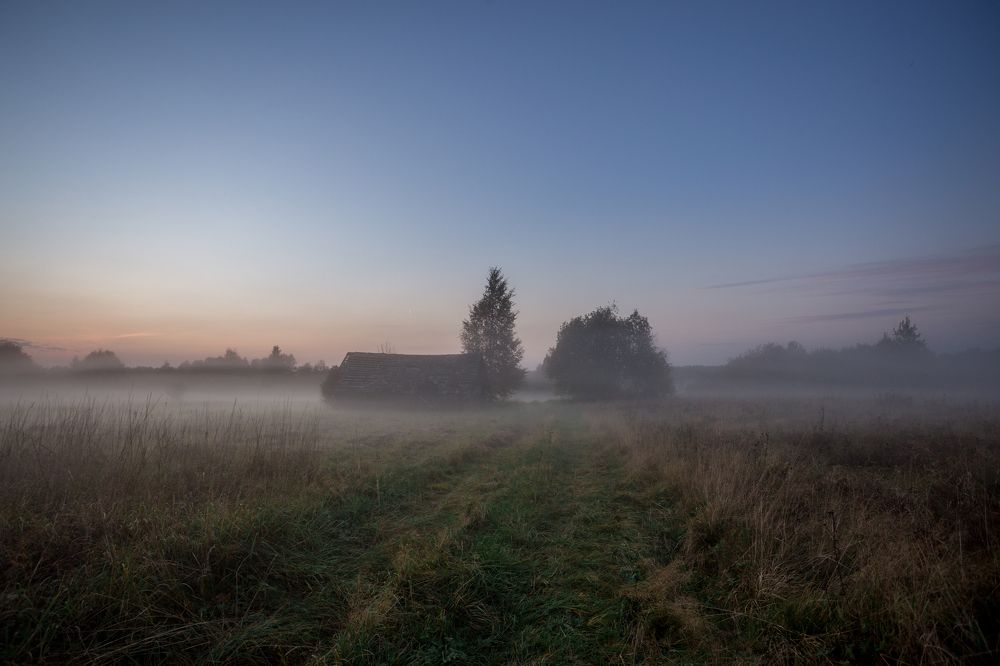 Photograph by Ekaterina Berendykhina