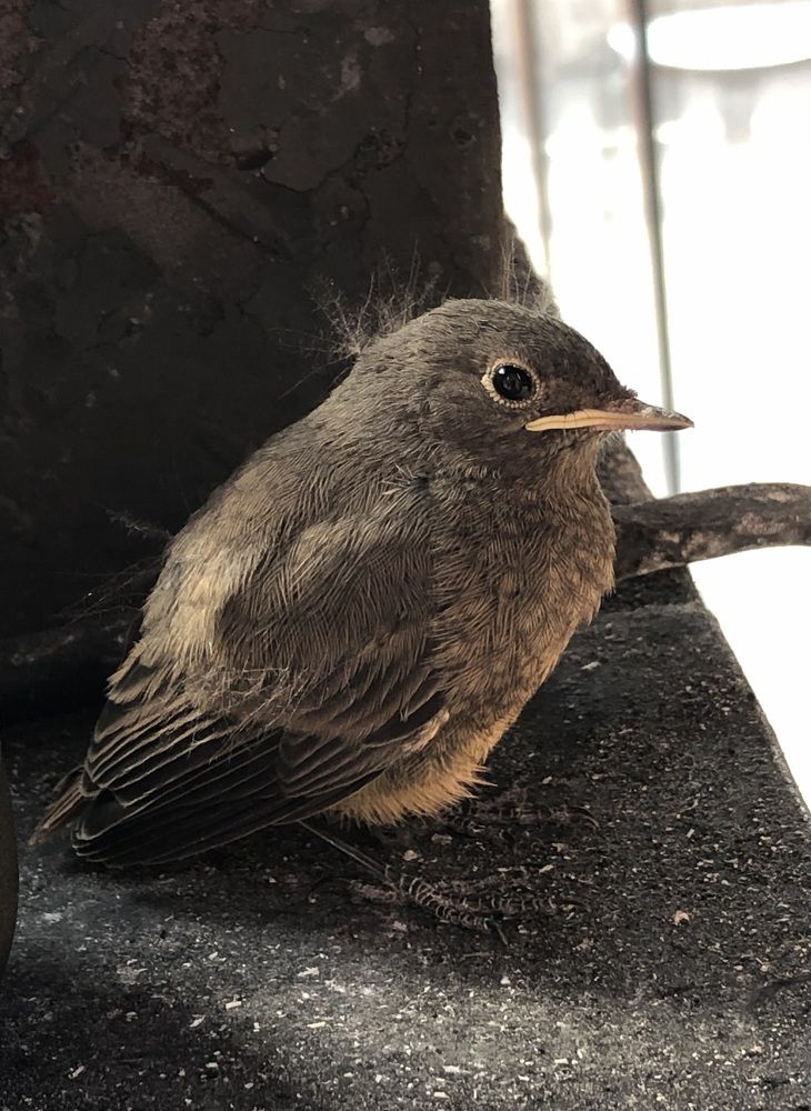 Фотография автора Евгения Елисеева