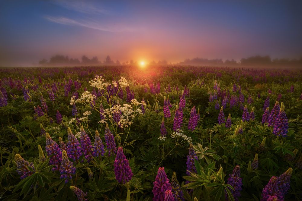 Photograph by Марина Мурашова